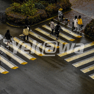 再见你好（Cover.金玟岐）