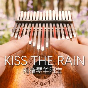 Kiss the rain 雨的印记（卡林巴琴）（翻自 李闰珉）