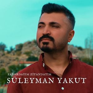 Zarardayım Ziyandayım