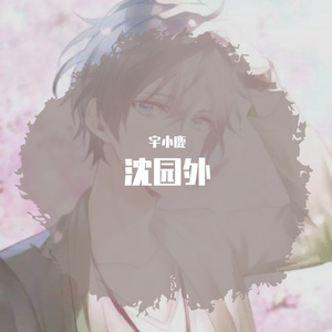 沈园外（原唱 阿YueYue）