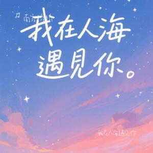 我在人海遇见你