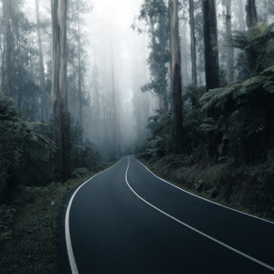 You will win if you don’t quit