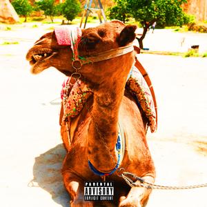 *****, You Ugly As ****