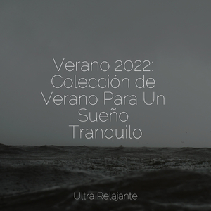 Los Caminos De La Vida