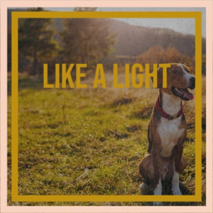 Prancing in the Snow