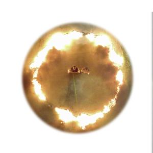 Why not (feat. Dead After Party, luky, cof, varis & Evis Oldboy)