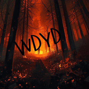 WDYD?