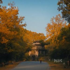 岁月旅程