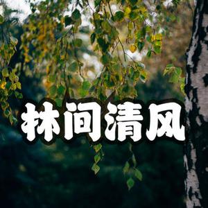 古风 林间清风 白云悠悠