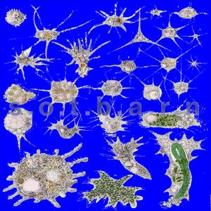 i Still do #wrong (crying in a stall)