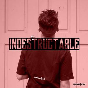Indestructable