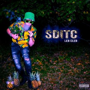 SDITC