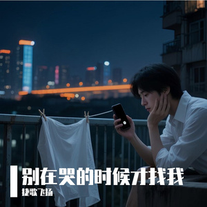 别在哭的时候才找我