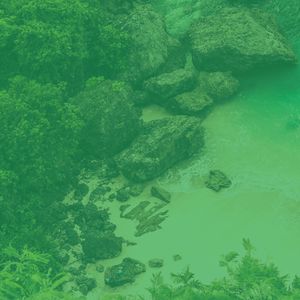 微妙的蒸气浴心情