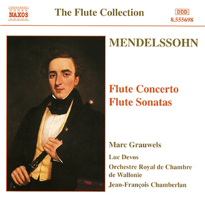 Violin Concerto in D Minor, MWV O3 (arr. J. Balint for flute and orchestra):III. Allegro