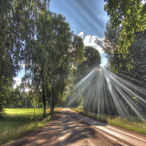 朝のドタバタシンフォニー