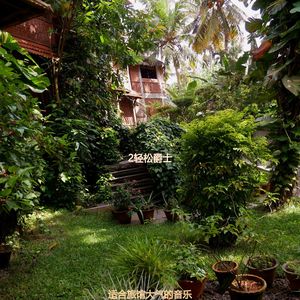 酒店时髦的爵士