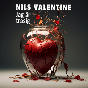 Välkommen till Sverige