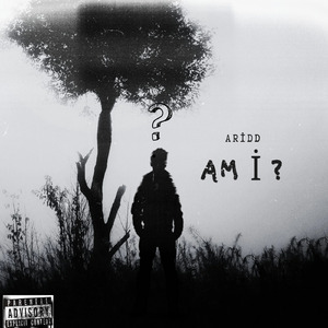 Am I