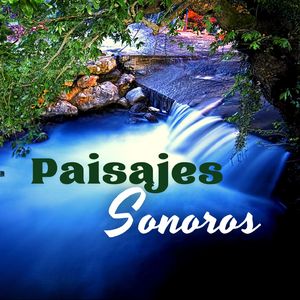 Paisaje Sonoro