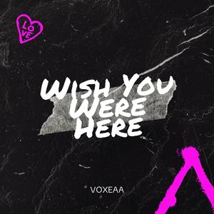 Wish You Were Here