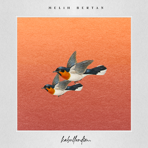 Kabullendim (Akustik)