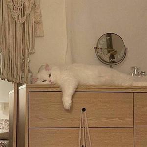 [Free]我超级可爱要不要和我一起玩耍