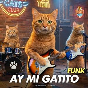 Ay Mi Gatito (Funk)