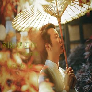 【日文版】刚好遇见你（Cover 李玉刚）