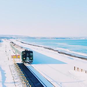 陷入情网（男声合唱）（翻自 如幻儿）