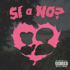 Si o No?