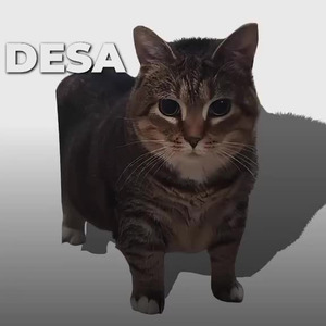 Never Gonna Change (sped up)