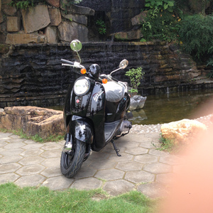 超级最爱口哨大气旋律