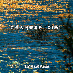 你是人间布洛芬 (DJ版)