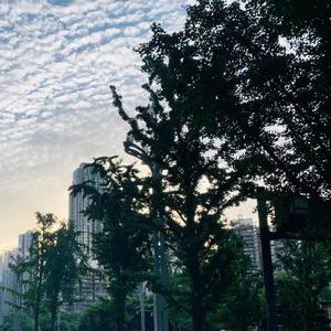 最后我们没在一起（抖音热播DJ版）