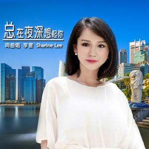 总在夜深想起你