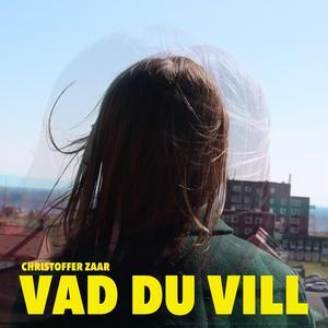 Vad du vill