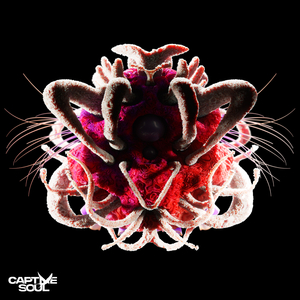 Lamazi (Extended Mix)
