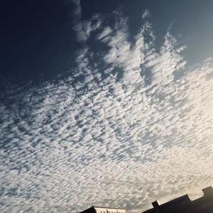 放不下的你（吉他版）