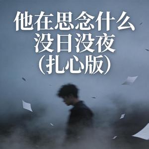 他在思念什么没日没夜 (扎心版)