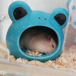 暗恋（cover：A1 TRIP）