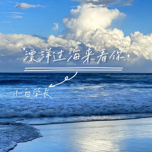 漂洋过海来看你