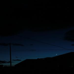 群星 - 在竹蜻蜓的日子