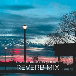 Prithibir Joto Shukh Reverb