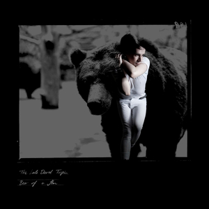 Bear of a Star (Radio Edit)