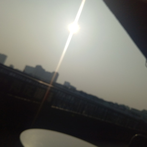 叶子（Instrument)