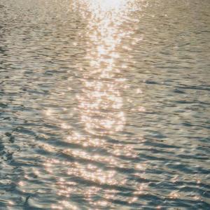 영원한 여름이 되어 (feat. silverkitt)