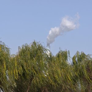 尼采恋爱了梦龙