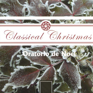 Oratorio De Noël, Op. 12: Air