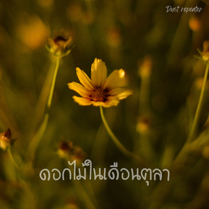 ดอกไม้ในเดือนตุลา